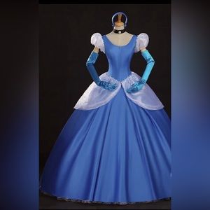 Disney Cinderella Costume
